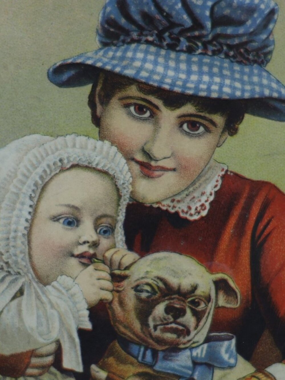 1884 PUG DOG ATLANTIC PACIFIC TEA LARGE RIGID STORE SIGN TRADE CARD 5.5"x9.5" - Picture 4 of 6